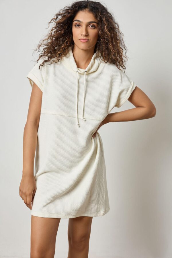 Roll Sleeve Seamed Dress - Image 4