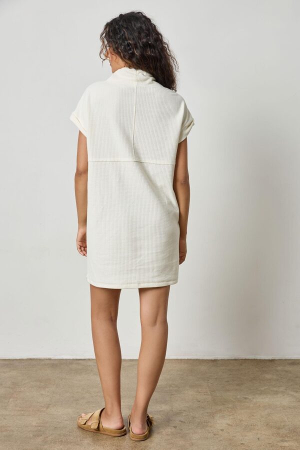 Roll Sleeve Seamed Dress - Image 5