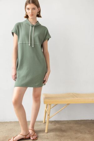 Roll Sleeve Seamed Dress